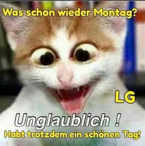 montag bild lustig|montag bilder lustig.